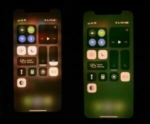 一部のiPhone11のディスプレイが緑色になるバグが見つかる